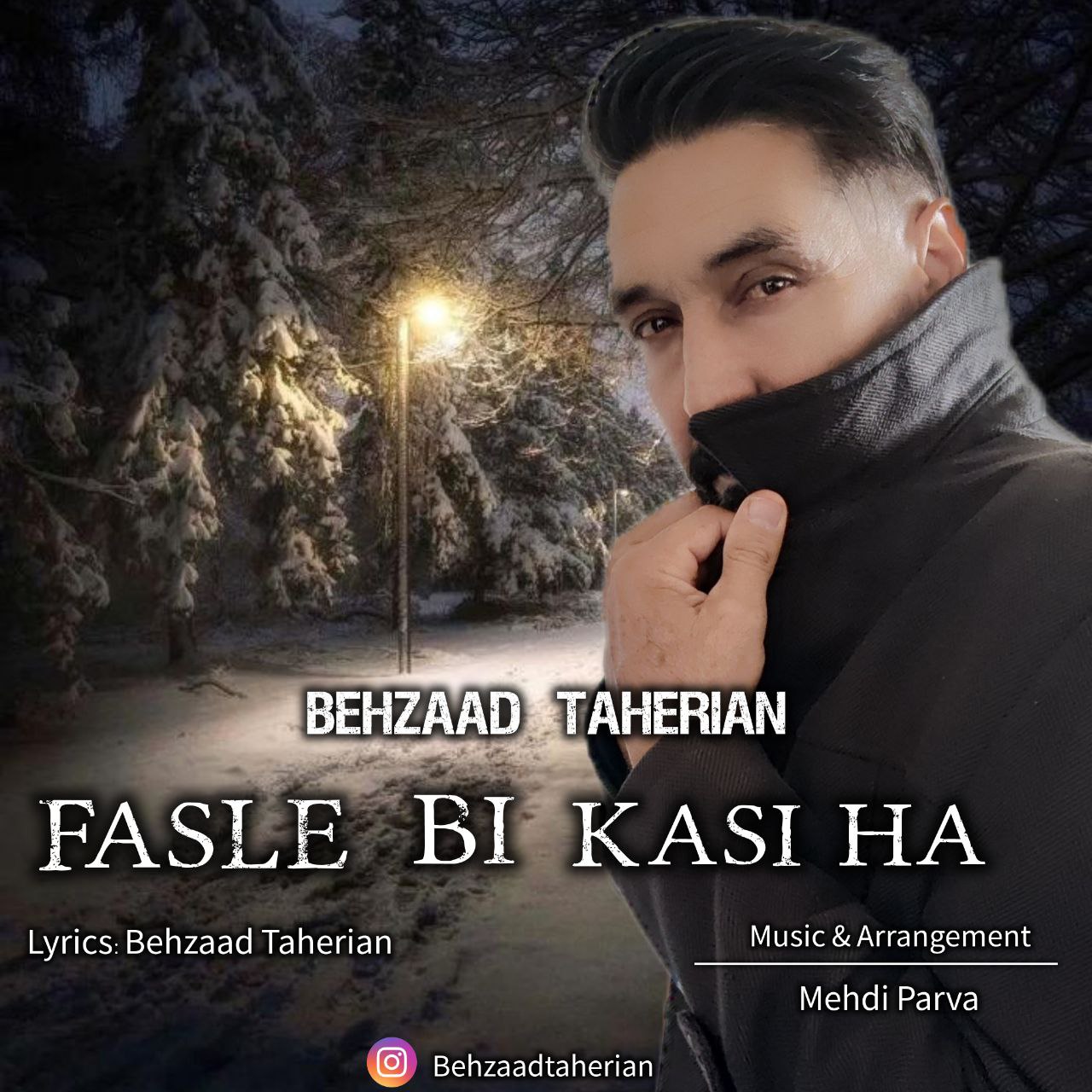 بهزاد طاهریان - فصل بی کسی ها